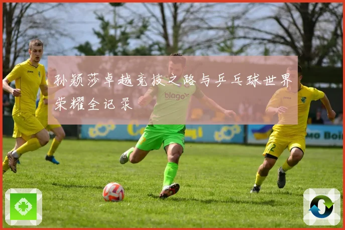 孙颖莎卓越竞技之路与乒乓球世界荣耀全记录