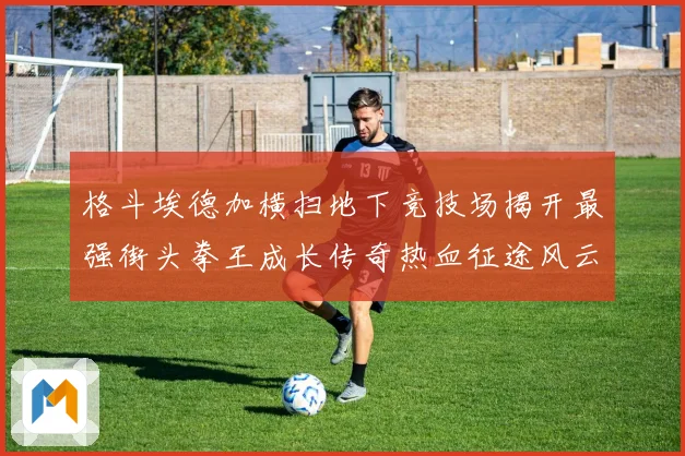 格斗埃德加横扫地下竞技场揭开最强街头拳王成长传奇热血征途风云录