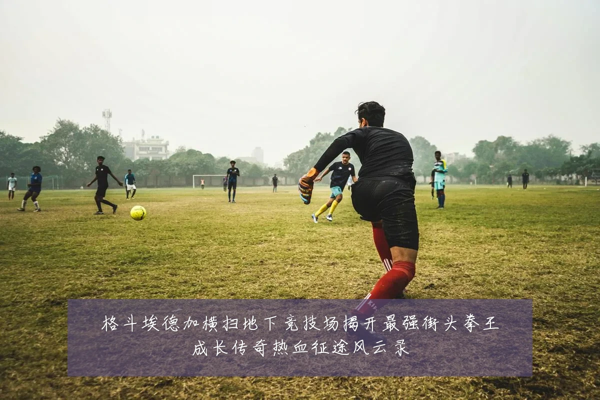 格斗埃德加横扫地下竞技场揭开最强街头拳王成长传奇热血征途风云录