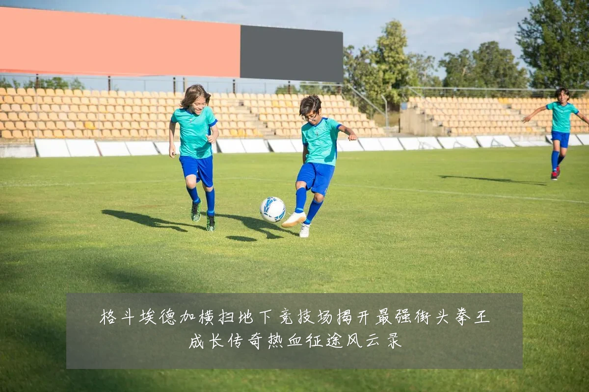 格斗埃德加横扫地下竞技场揭开最强街头拳王成长传奇热血征途风云录