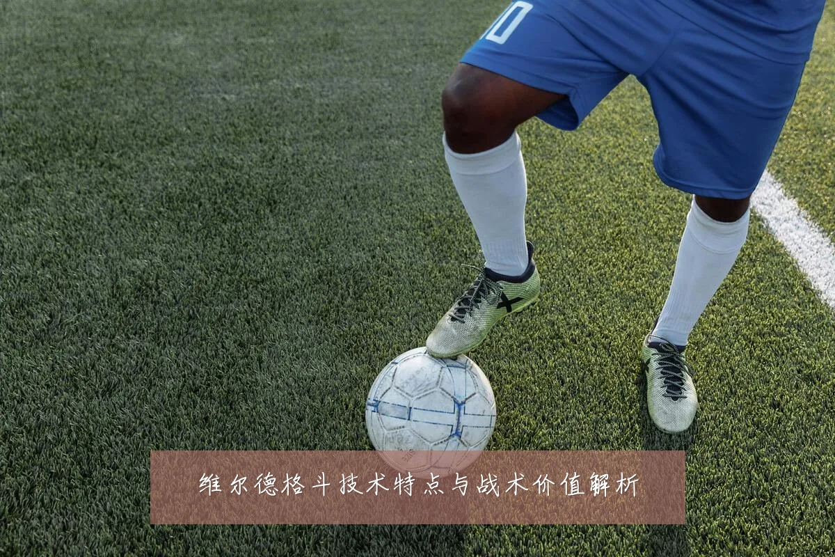 维尔德格斗技术特点与战术价值解析